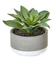 Artificial Succulent in 4.5" Cement Pot