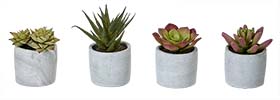 Artificial Succulent in 2.75" Diameter Cement Pot, 4 Assorted