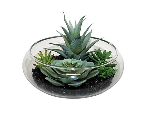 MIXED SUCCULENTS ON BLACK STONES IN 7" GLASS CONTAINER