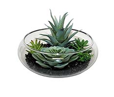 Artificial Mixed Succulents on Black Stones In 7" Glass Dish Garden Container - CLOSEOUT