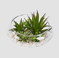 Artificial Mixed Succulents On White Stones In 7" Round Glass Dish Garden Container - CLOSEOUT