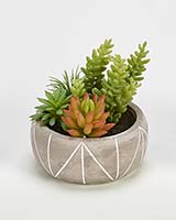 Mixed Artificial Succulents in 5" Pot Geometric Lines