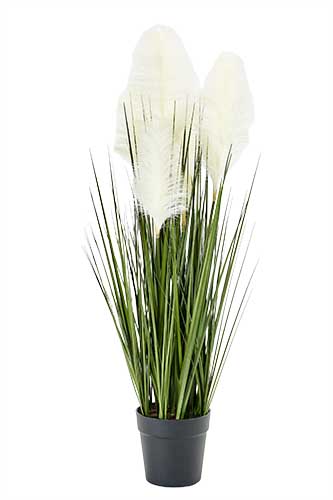 32" Artificial Pampas Plant In 5.5" Pot