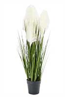 32" Artificial Pampas Plant In 5.5" Pot