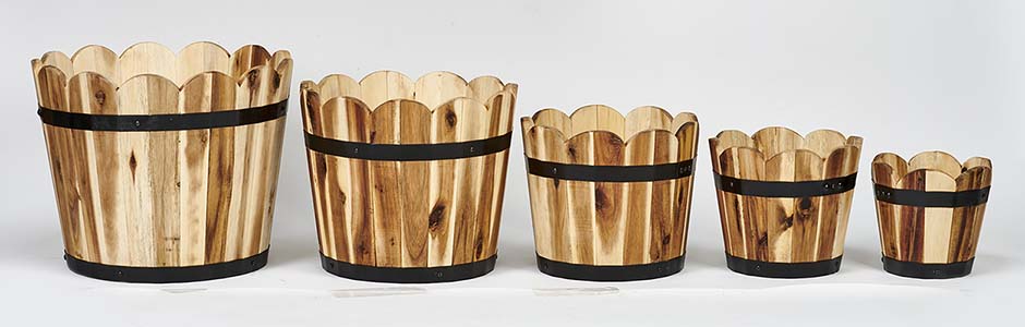 Scalloped Acacia Wood Barrel Planters, Natural 15.5", 11", 10.5", 9.5", 7.5"