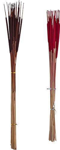 26" Pencil Cattail x 25