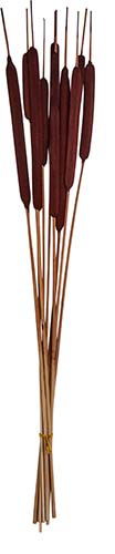 30" Large Cattail X 10, Dark Brown