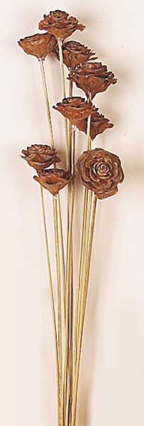 17" Cedar Mini Rose x 10