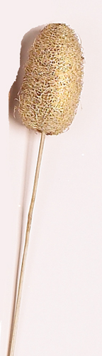 22" Luffa on Stem x 6