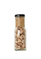 Snail Shells in 6" Glass Bottle