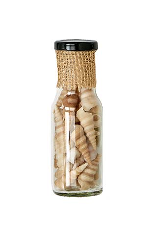Corkscrew Shells in 6" Glass Bottle