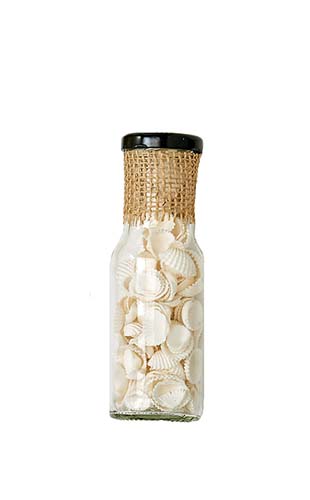 Mini Clam Shells in 6" Glass Bottle