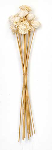 1" Natural Shola Flower On 19" Stick
