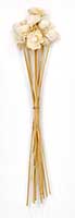 1" Natural Shola Flower On 19" Stick