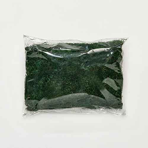 3.5oz Bag of Green Moss 