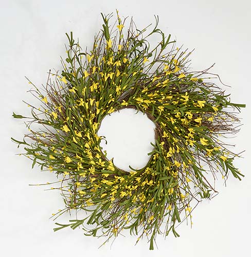 24" Forsythia & Pip Wreath on Natural Twig Base