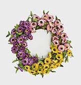 20" Mixed Daisy Wreath