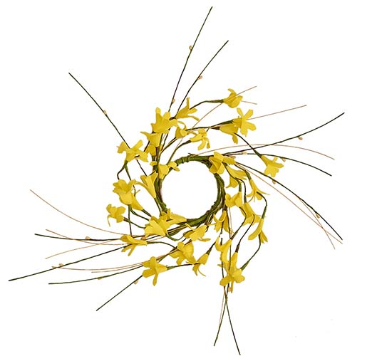 2.25" Forsythia Candle Ring with Pips