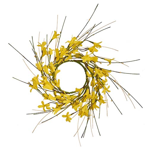 3.25" Forsythia Candle Ring with Pips