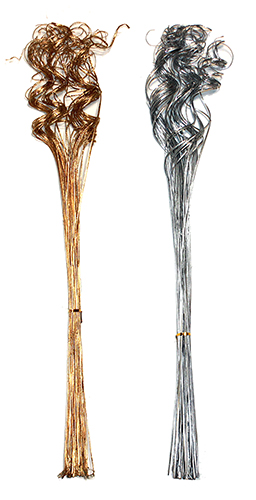 30" Curly Ting Ting 50 Stems In a Bunch