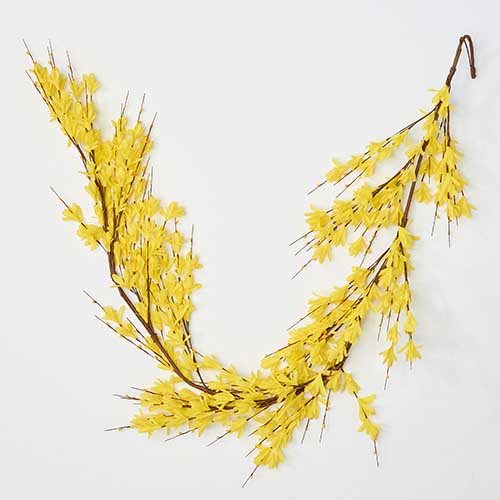 72" Forsythia Garland