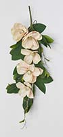 40" Magnolia Teardrop Swag- Close Out