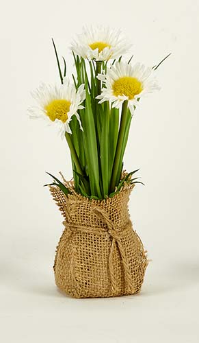 8" Daisy in Burlap Sack