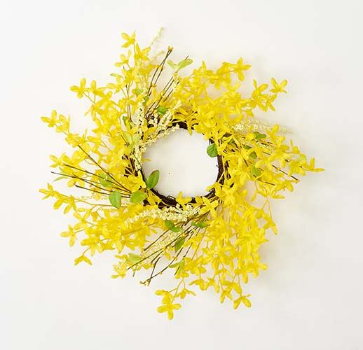 20" Forsythia Wreath