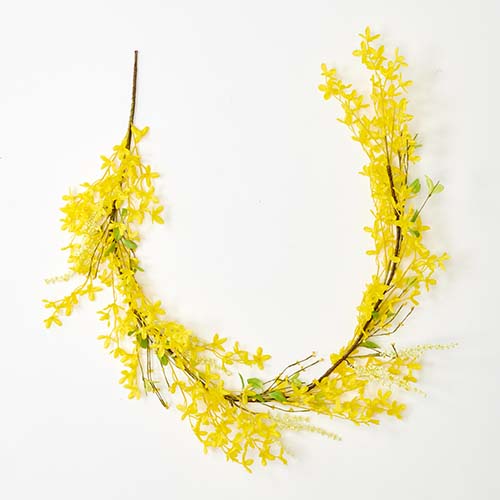 63" Forsythia Garland