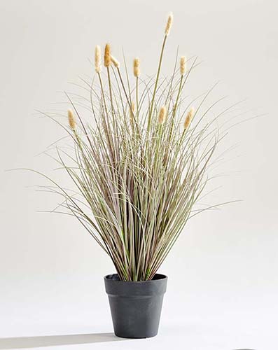 28" Artificial Setaria Foxtail Grass in Black Pot