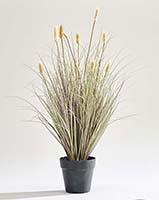 28" Artificial Setaria Foxtail Grass in Black Pot