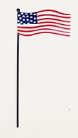 2.5" Iron Americana Flag on 10" Stake