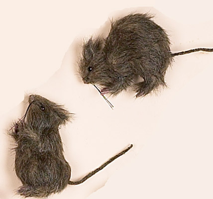 5" & 6" Rats