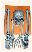 Ground Breaker Skeleton (5 pieces)
