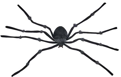 47" Black Giant Spider