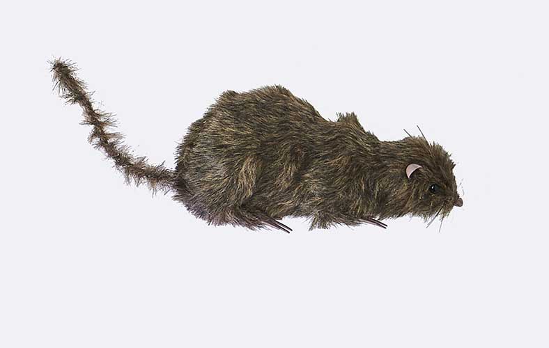 10" Furry Rat