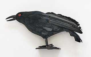 12" Tabletop Halloween Crow
