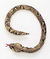 36" Halloween Bendable Snake