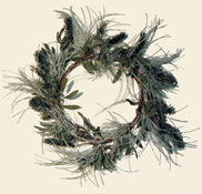 26" FR. Mixed Needle Pine
