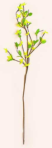 33" Forsythia Spray - CLOSEOUT