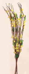 30" Twig Forsythia Branches