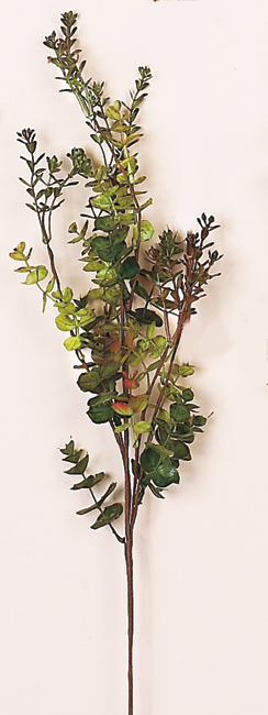 30" Eucalyptus Spray