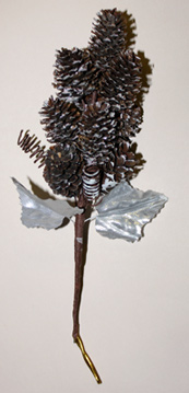 Pine Cone Cluster x 10