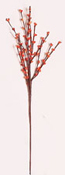 20" Mini Berry Spray