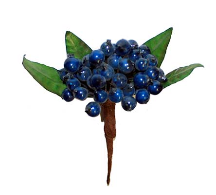 5" Blueberry Pick