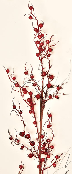 67" Weatherproof Berry Garland