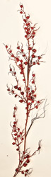 67" Weatherproof Berry Garland