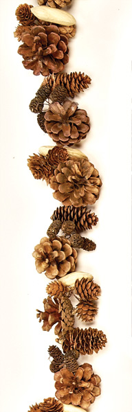 4.5' Mixed Pine Cone & Seed Pod Garland