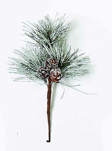 9" Snowy Pine & Cone Spray