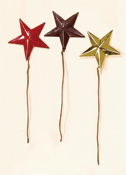 2.5" Metal Star Pick